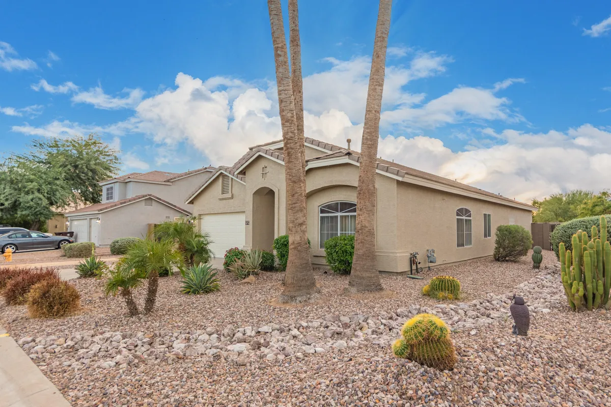 This image showcases tall palm trees, a rocky desert landscape with cacti, and the home's front entrance. The setting exudes a distinctly Arizonan outdoor atmosphere, emphasizing the natural beauty and local flora that guests and their pets might enjoy while exploring the area.
